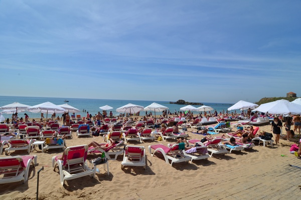 Edde Sands on Sunday